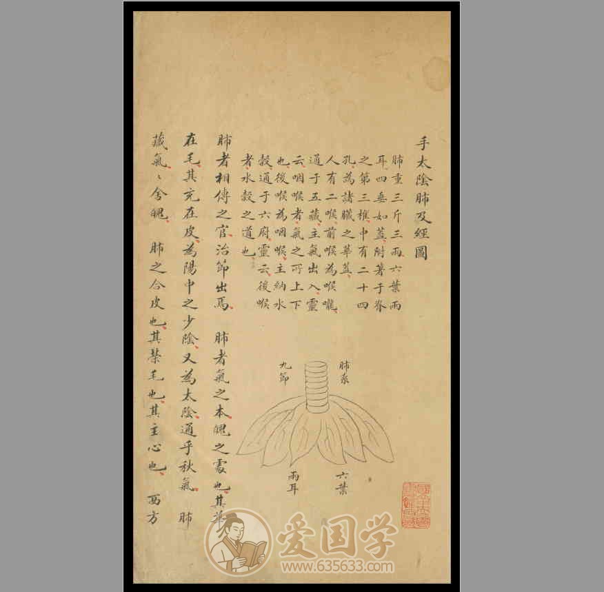 十四经穴歌1卷清代钞本PDF电子版